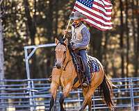 ranch-work-quarter-horse