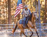 roping-quarter-horse