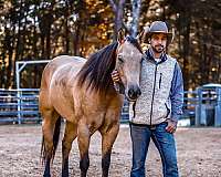 trail-riding-quarter-horse