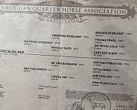 team-penning-quarter-horse