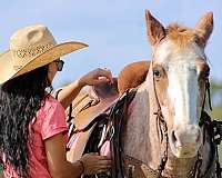 ranch-work-quarter-pony