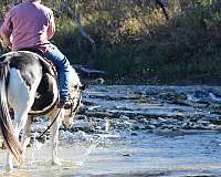 dismount-quarter-pony