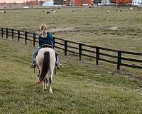 buckskin-yout-pony