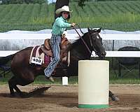 trail-riding-quarter-horse