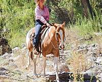 family-horse-quarter