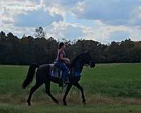 husband-safe-horse-tennessee-walking