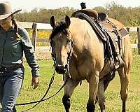 trail-riding-quarter-horse