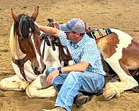 cowboy-mounted-shooting-draft-pony