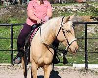 feet-palomino-horse