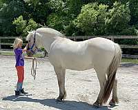 eager-fjord-horse