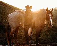 roping-quarter-horse