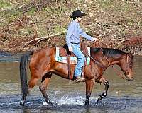 trail-riding-quarter-horse