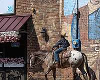 trail-riding-quarter-horse