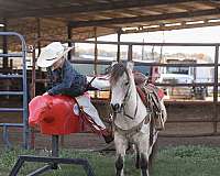 family-horse-quarter