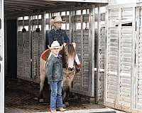 calf-roping-quarter-horse