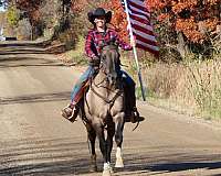 equitation-quarter-horse