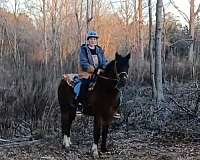 light-sorrel-with-a-flaxen-mane-tail-4-white-socks-horse