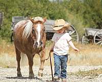 trail-riding-pony