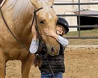 roping-quarter-horse