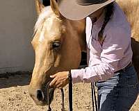 palomino-cowboy-mounted-shooting-horse