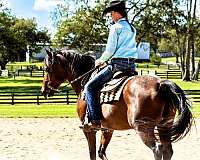 jumping-friesian-horse