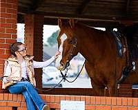 ranch-work-quarter-horse