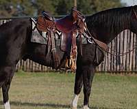 black-blaze-horse