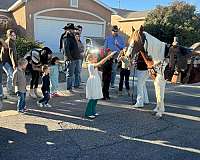 ranch-work-quarter-horse