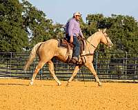 family-horse-quarter