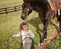 barrel-quarter-pony