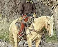 roping-quarter-horse