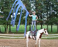 beautiful-mover-curly-horse