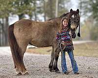 blue-roan-bald-face