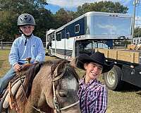 elk-hunting-quarter-horse