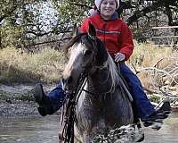 ranch-work-quarter-pony