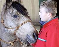 all-around-quarter-pony