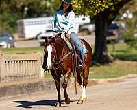 ranch-work-quarter-horse