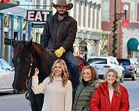 ranch-work-quarter-horse