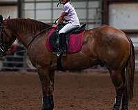 ranch-versatility-quarter-horse