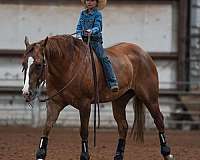 reining-quarter-horse