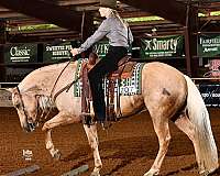 western-riding-quarter-horse