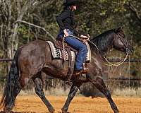 ranch-work-quarter-horse