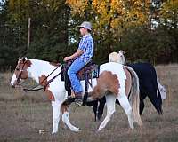 ranch-work-quarter-pony