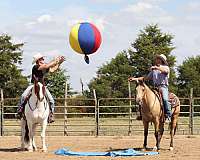 ranch-versatility-quarter-horse