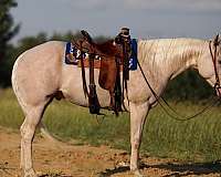 ranch-versatility-quarter-horse