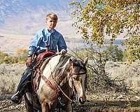 ranch-work-pinto-horse