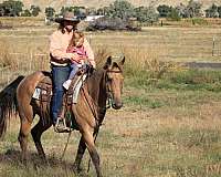 cowboy-mounted-shooting-quarter-horse