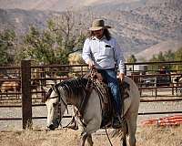 roping-quarter-horse