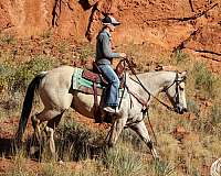 trail-riding-quarter-horse