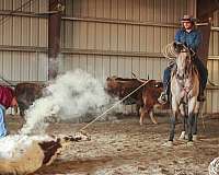 roping-quarter-horse